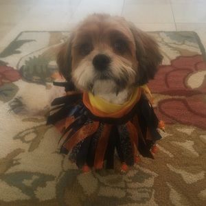 Meet your Posher, Jan